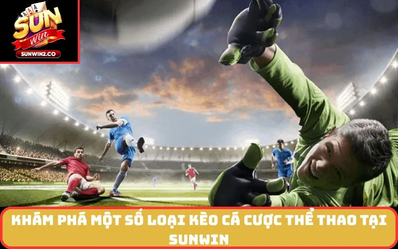 Khám phá một số loại kèo cá cược thể thao tại SUNWIN