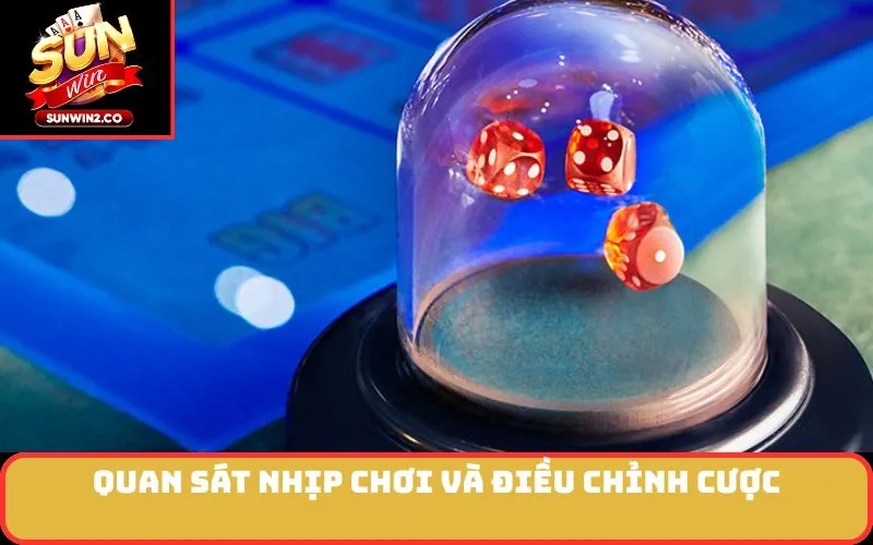 Quan sát nhịp chơi và điều chỉnh cược